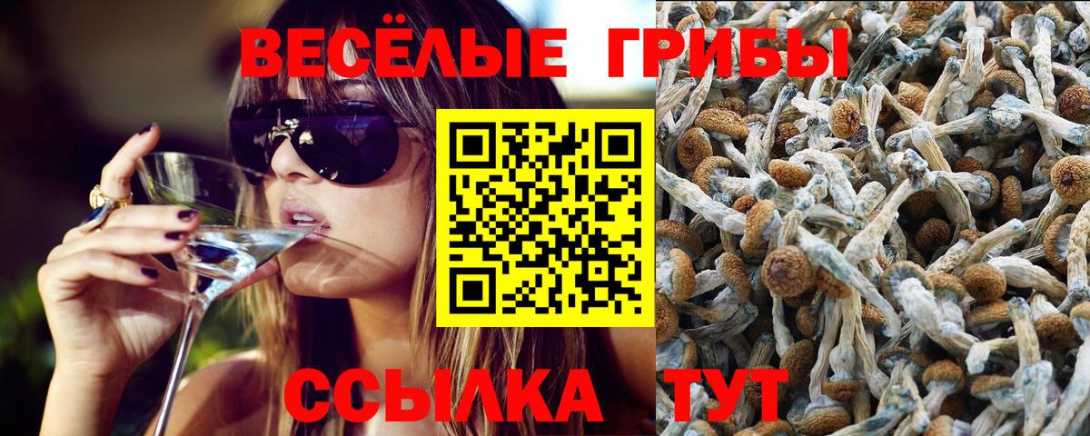 Псилоцибиновые грибы MAGIC MUSHROOMS Звенигород