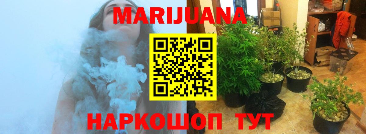 Бошки марихуана White Widow Звенигород